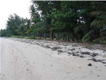 Opportunities to Invest!!! HOT!! Samui Island